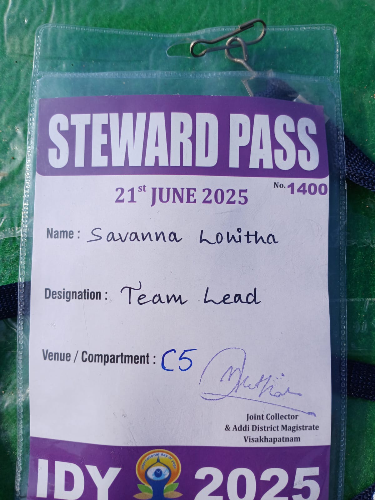 Yogandhra 2025 Event